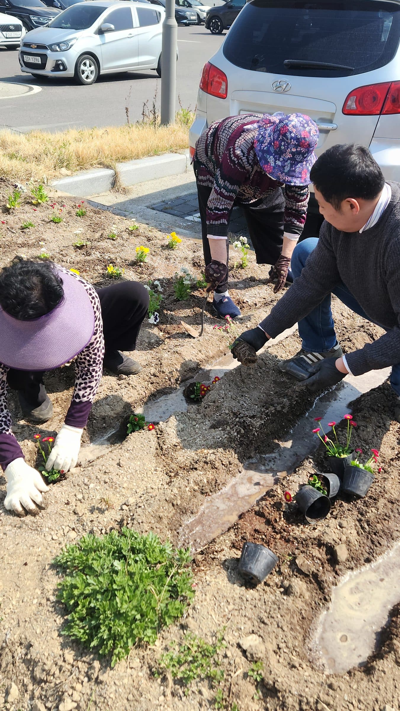새마을금고 뒤 텃밭 가꾸기 환원사업 3