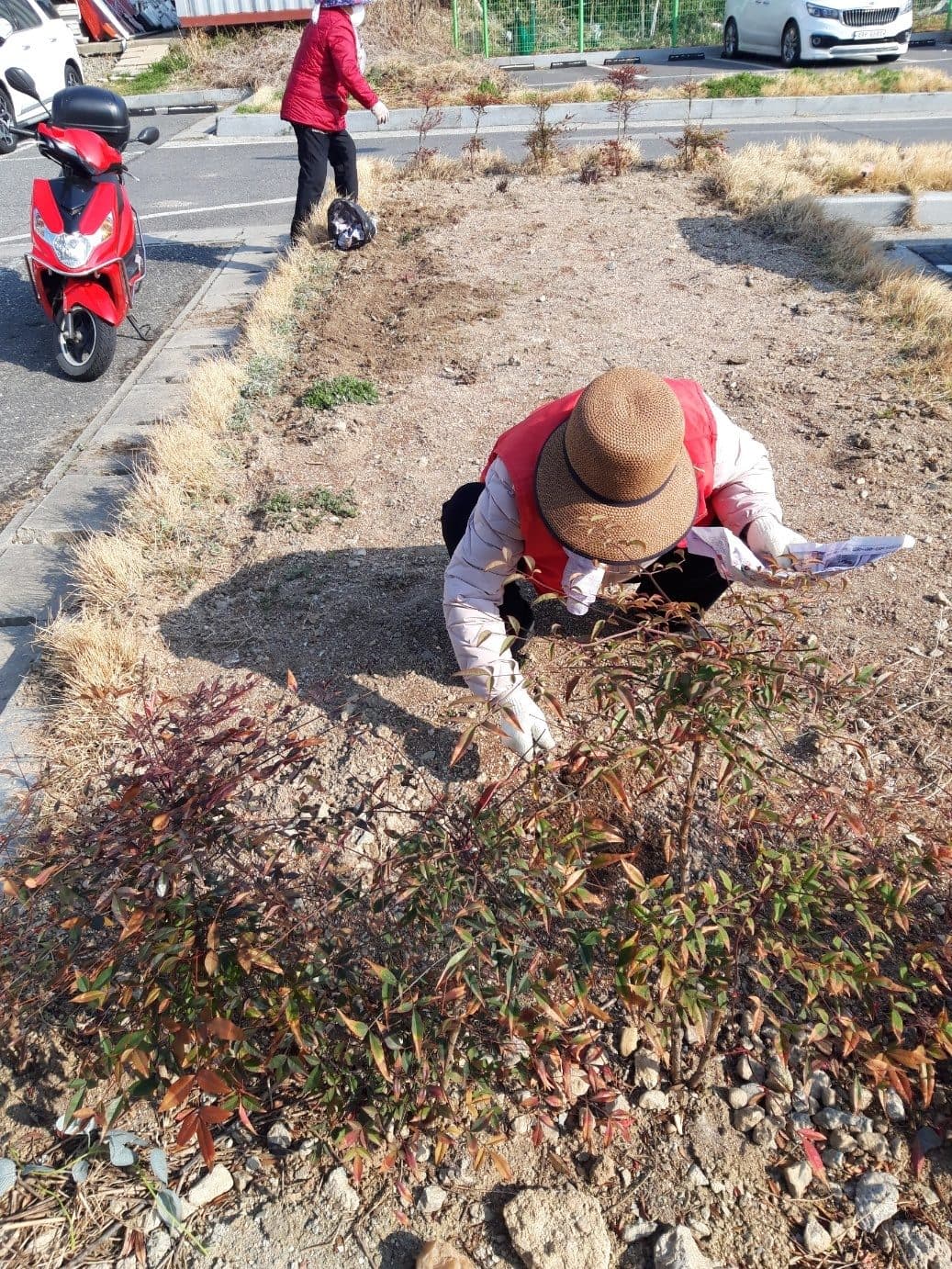 새마을금고 뒤 텃밭 가꾸기 환원사업 4
